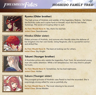 Illustration for article titled Fire Emblem Fates: Birthright vs Conquest: Which To Buy
